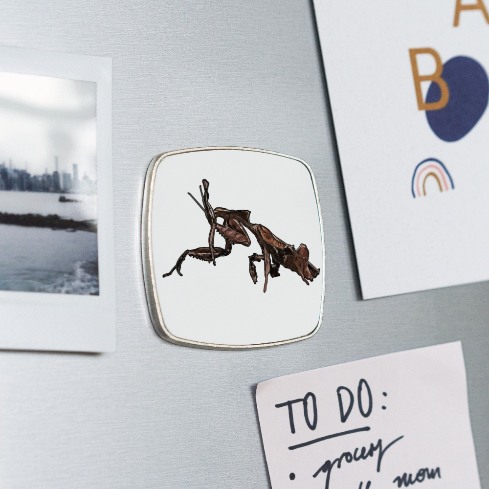 Kühlschrankmagnet eckig Phyllocrania paradoxa female 2 - weiß