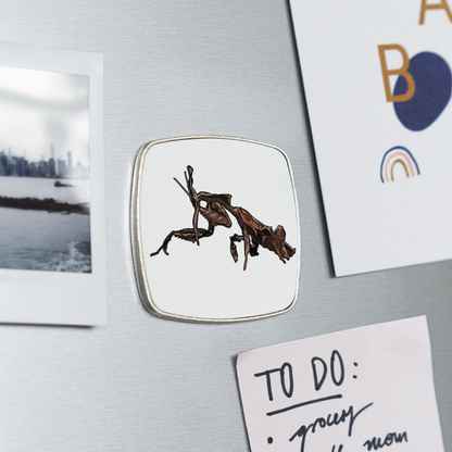 Kühlschrankmagnet eckig Phyllocrania paradoxa female 2 - weiß