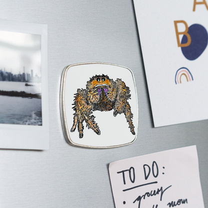 Kühlschrankmagnet eckig Phidippus regius Everglades female - weiß