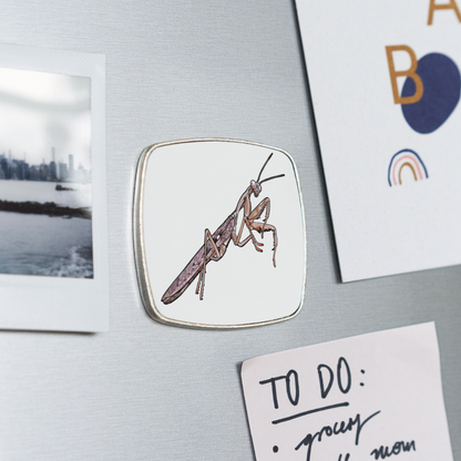 Kühlschrankmagnet eckig Rhombodera kirbyi male - weiß