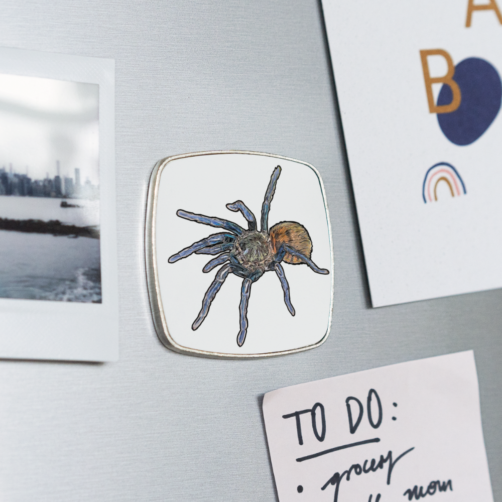 Kühlschrankmagnet eckig Chromatopelma cyaneopubescens - weiß