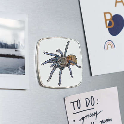 Kühlschrankmagnet eckig Chromatopelma cyaneopubescens - weiß