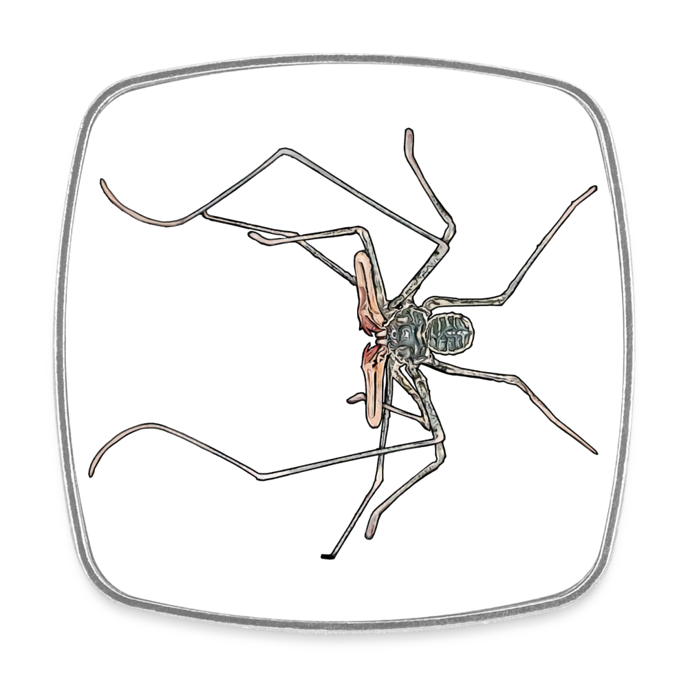 Kühlschrankmagnet eckig Euphrynichus bacillifer - weiß
