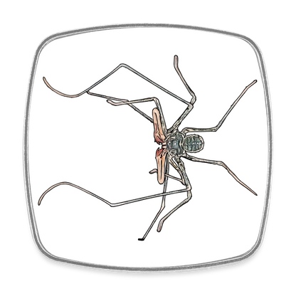 Kühlschrankmagnet eckig Euphrynichus bacillifer - weiß