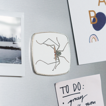 Kühlschrankmagnet eckig Euphrynichus bacillifer - weiß