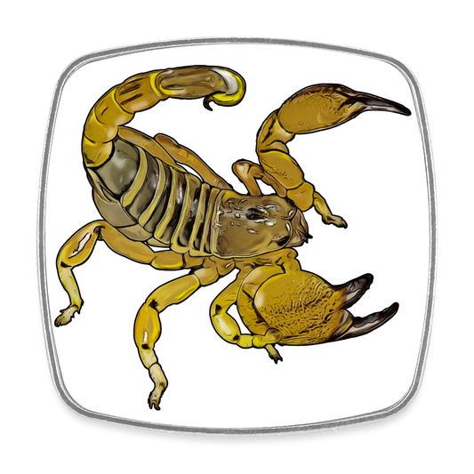 Kühlschrankmagnet eckig Scorpio maurus palmatus - weiß