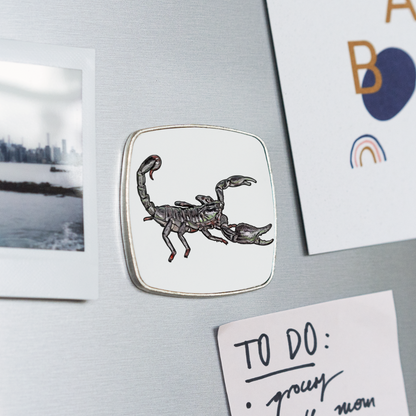 Kühlschrankmagnet eckig Heterometrus silenus - weiß