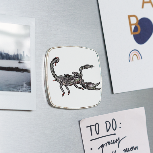 Kühlschrankmagnet eckig Heterometrus silenus - weiß