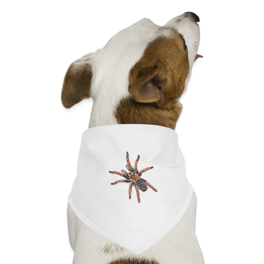 Hunde-Bandana Brachypelma emilia - weiß