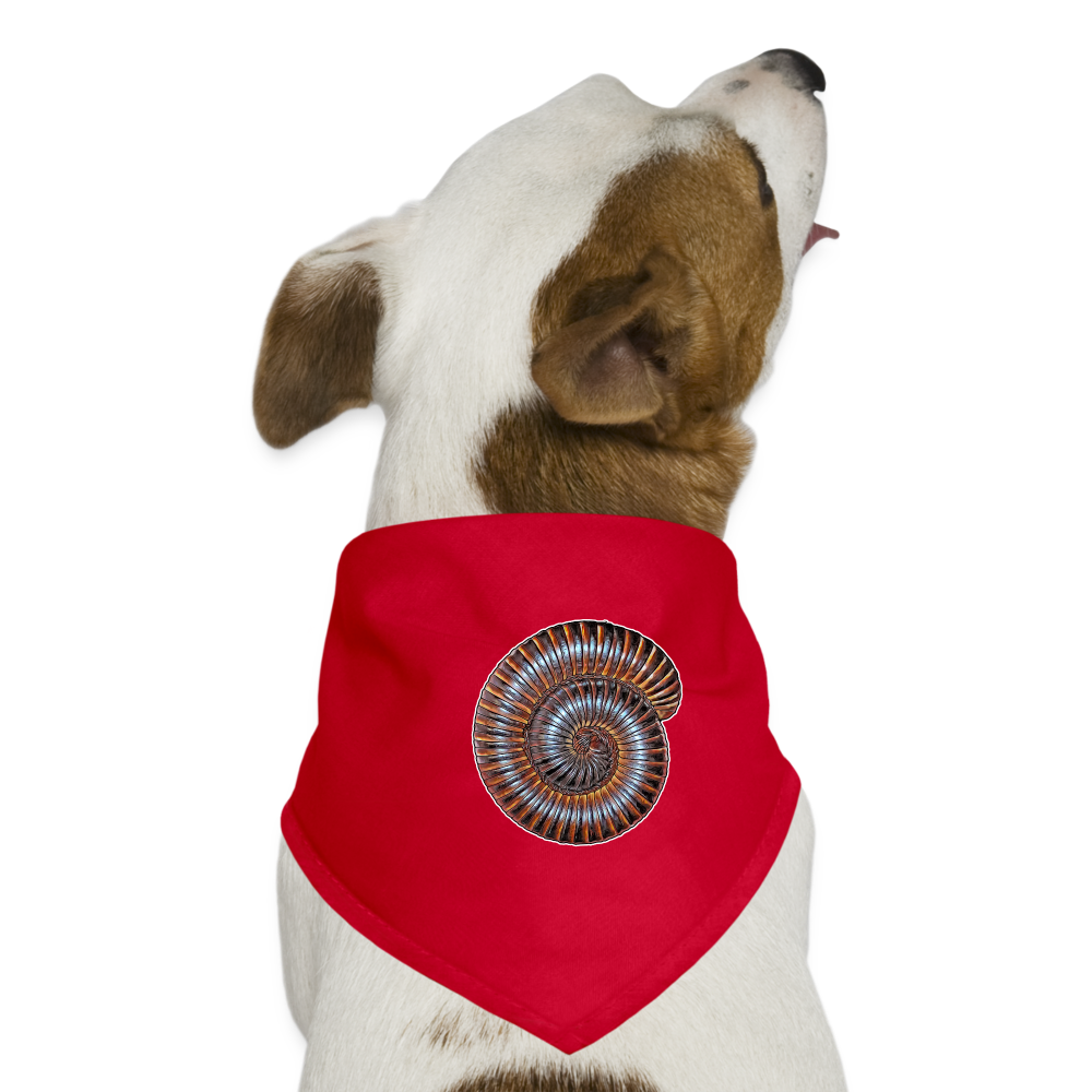 Hunde-Bandana Archispirostreptus gigas - Rot