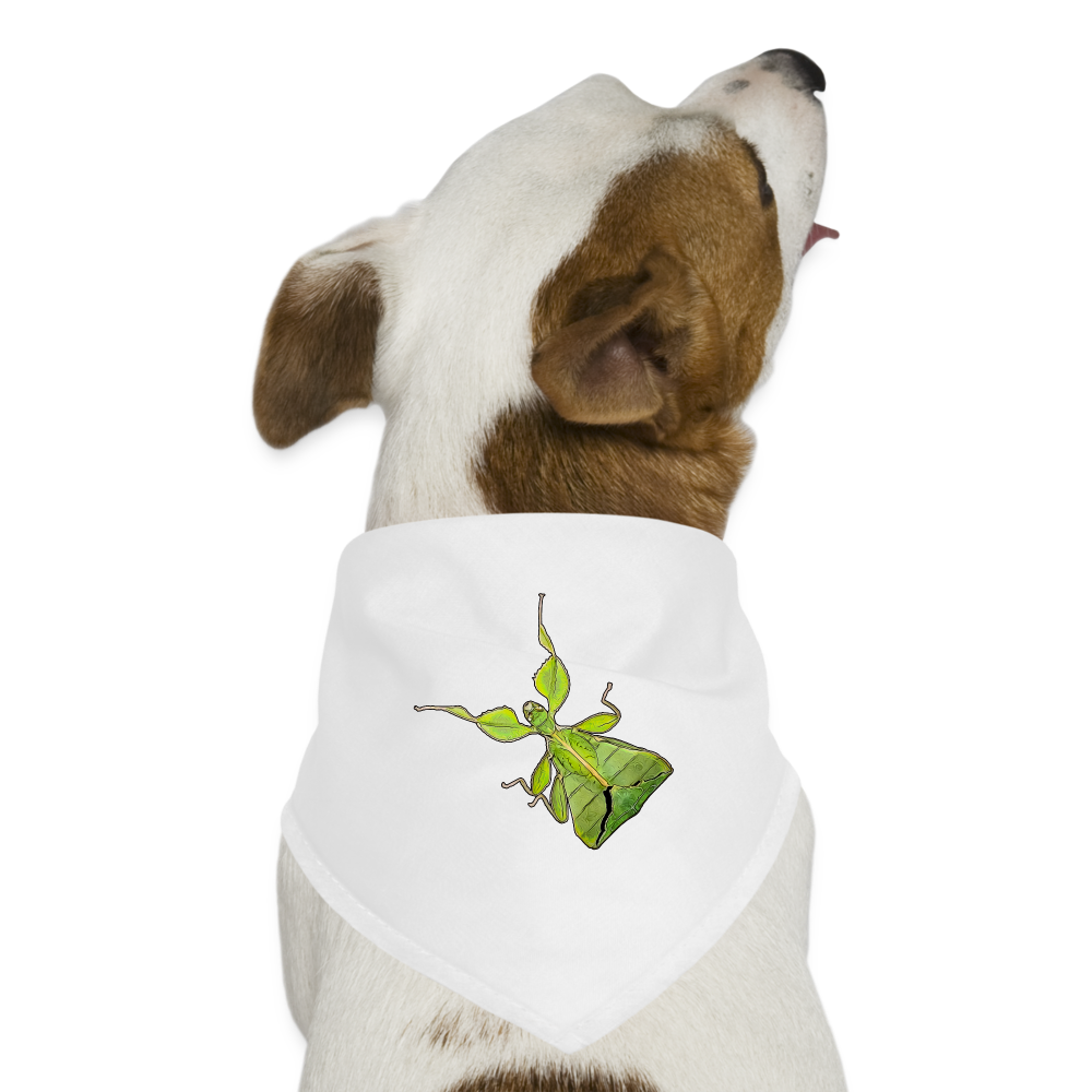 Hunde-Bandana Phyllium philippinicum female - weiß