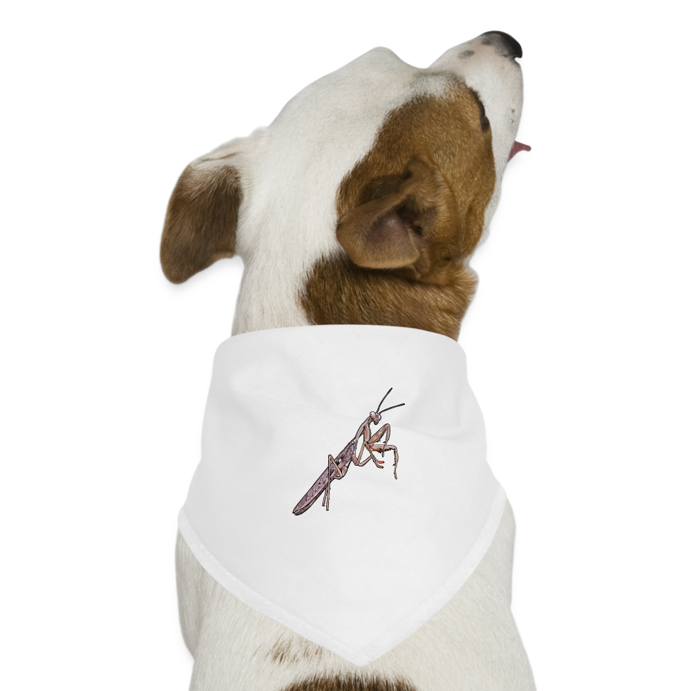 Hunde-Bandana Rhombodera kirbyi male - weiß