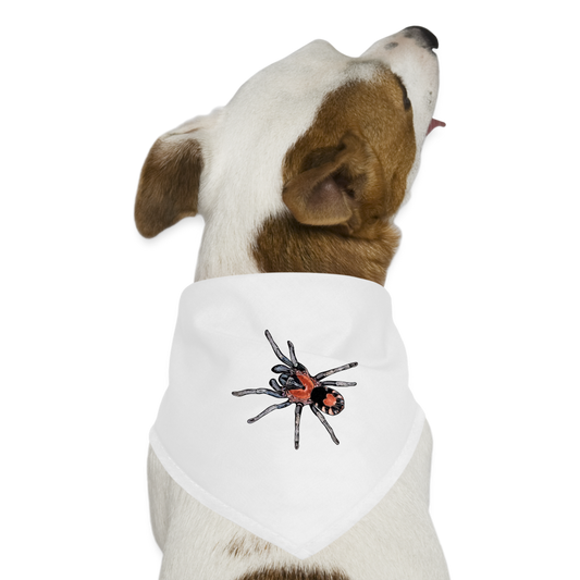 Hunde-Bandana Cyriocosmus elegans - weiß