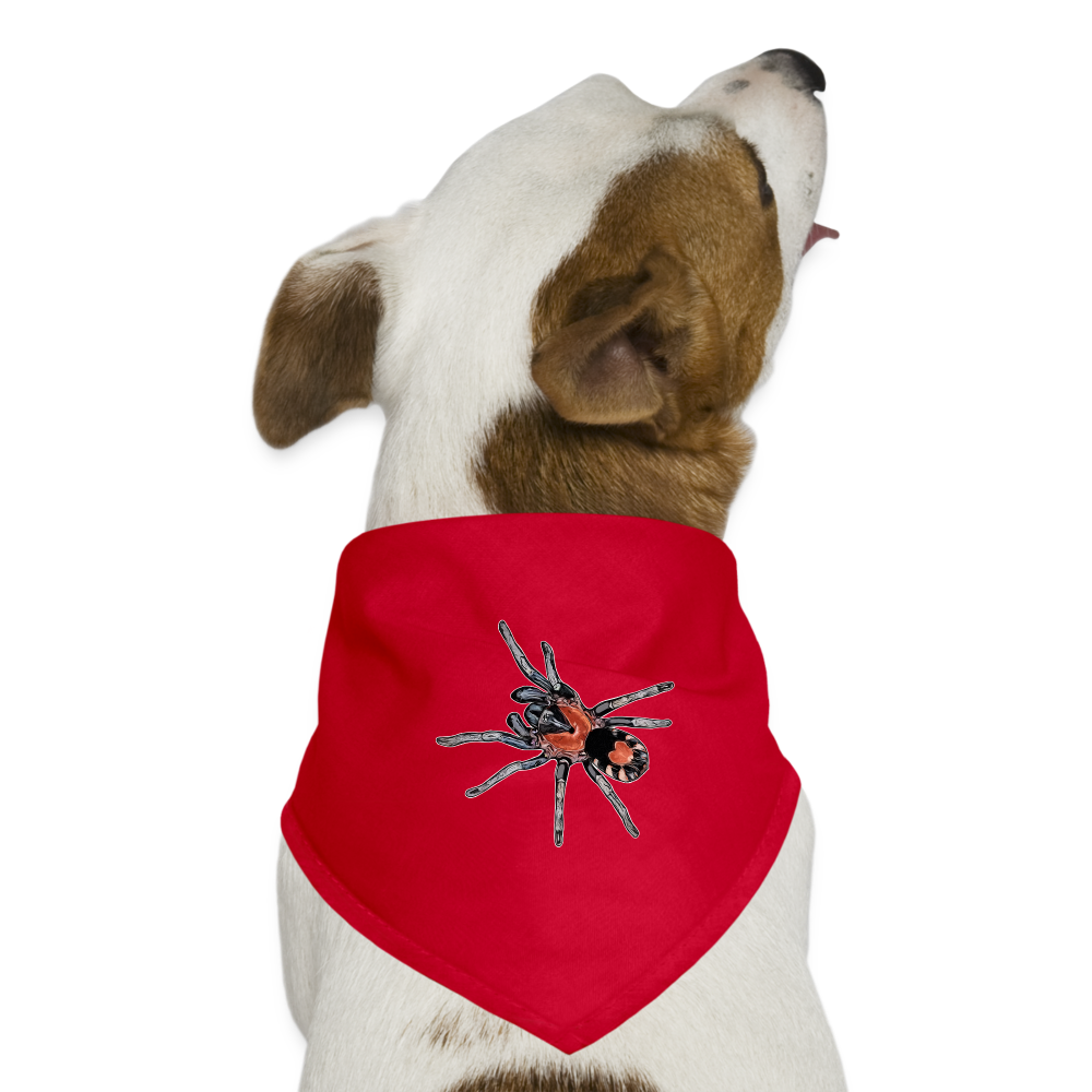Hunde-Bandana Cyriocosmus elegans - Rot
