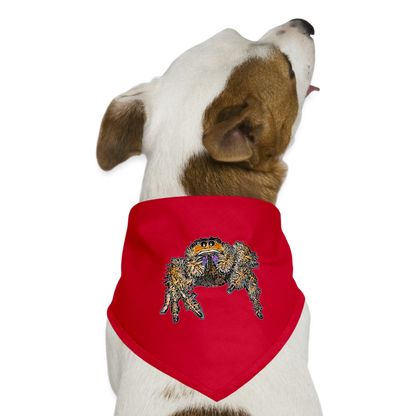 Hunde-Bandana Phidippus regius Everglades female - Rot
