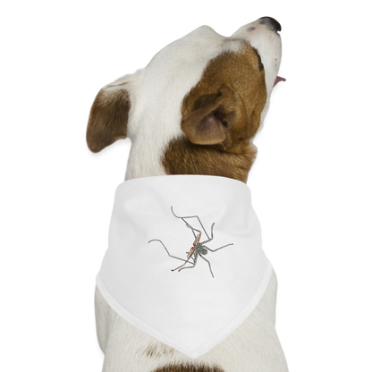 Hunde-Bandana Euphrynichus bacillifer - weiß