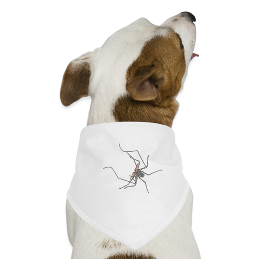 Hunde-Bandana Euphrynichus bacillifer - weiß