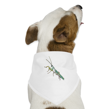 Hunde-Bandana Sphodromantis lineola male - weiß
