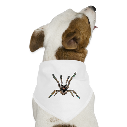 Hunde-Bandana Pterinochilus murinus tcf - weiß