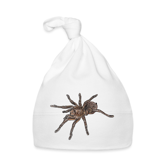 Baby Mützchen Theraphosa stirmi juvenile - weiß
