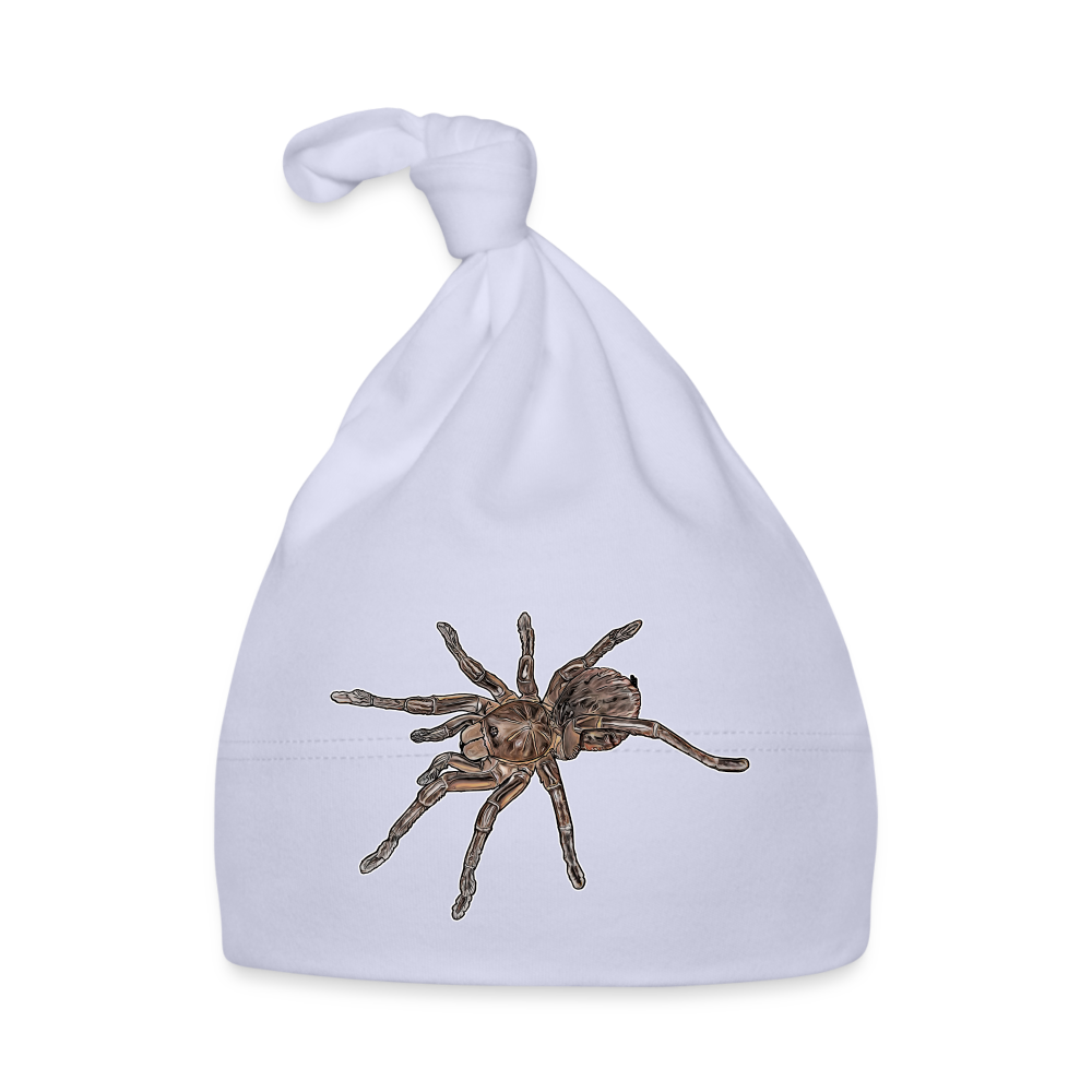 Baby Mützchen Theraphosa stirmi juvenile - Sky