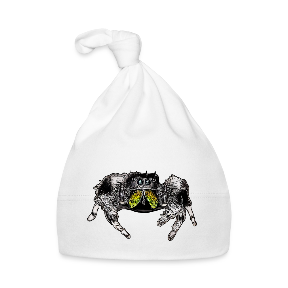 Baby Mützchen Phidippus regius Rastafari male - weiß