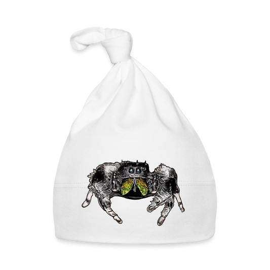 Baby Mützchen Phidippus regius Rastafari male - weiß