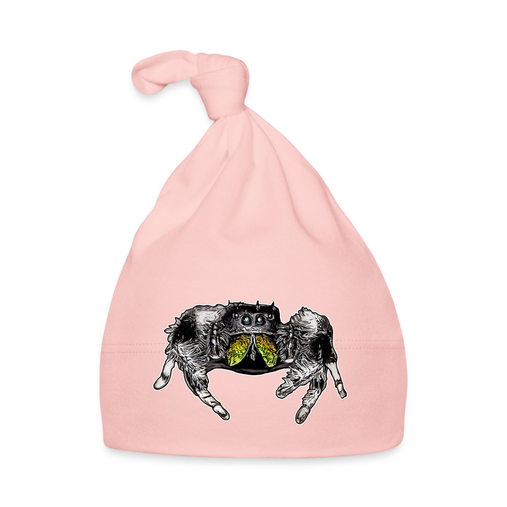 Baby Mützchen Phidippus regius Rastafari male - Rosa