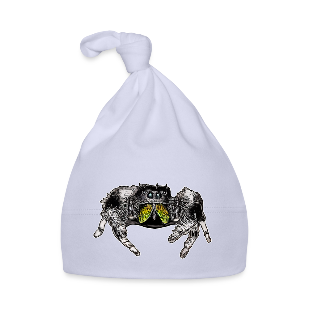 Baby Mützchen Phidippus regius Rastafari male - Sky