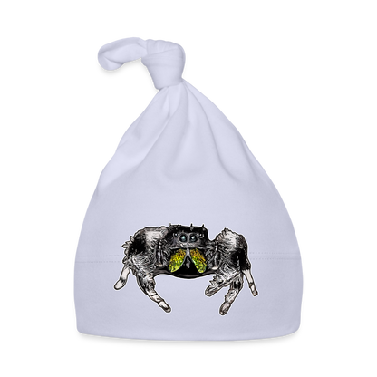 Baby Mützchen Phidippus regius Rastafari male - Sky