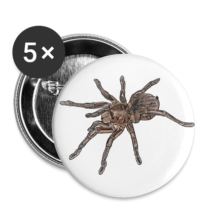 Buttons groß 56 mm (5er Pack) Theraphosa stirmi juvenile - weiß