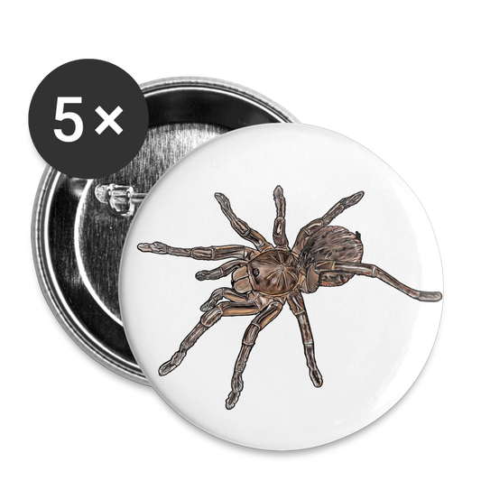 Buttons klein 25 mm (5er Pack) Theraphosa stirmi juvenile - weiß