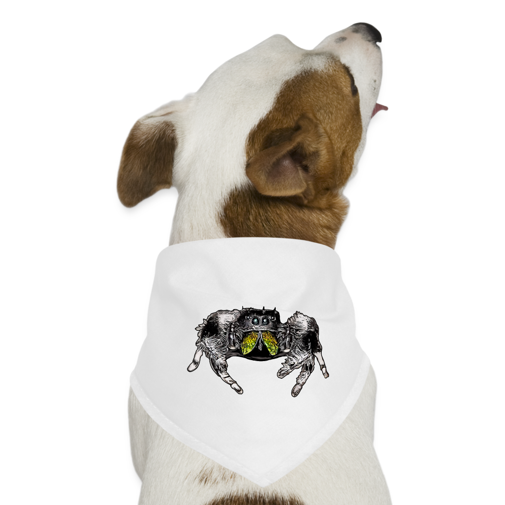 Hunde-Bandana Phidippus regius Rastafari male - weiß
