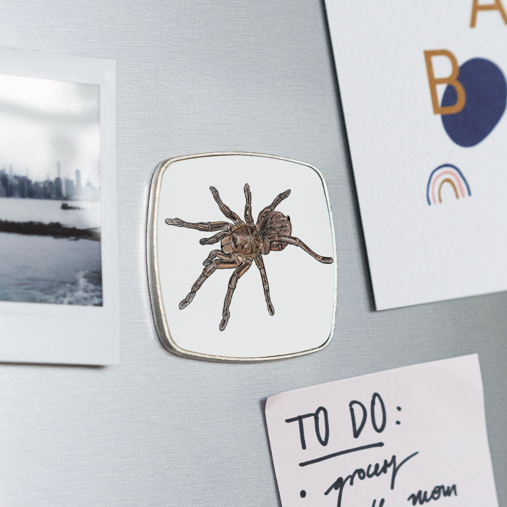 Kühlschrankmagnet eckig Theraphosa stirmi juvenile - weiß