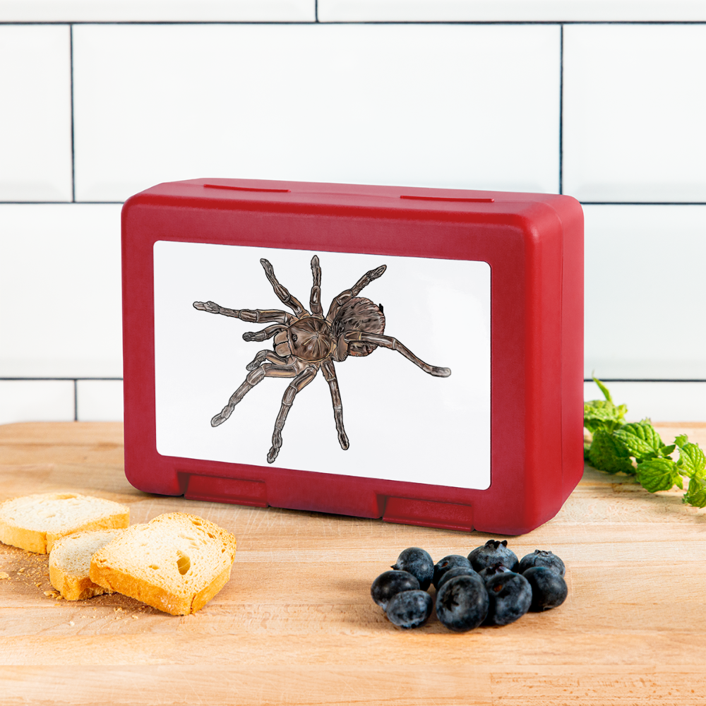 Lunchbox Theraphosa stirmi juvenile - Rot
