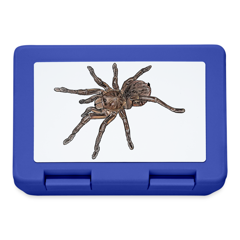 Lunchbox Theraphosa stirmi juvenile - Royalblau