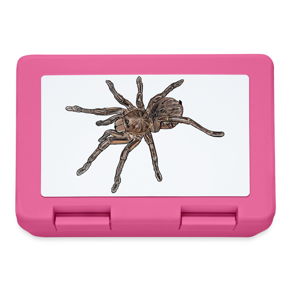 Lunchbox Theraphosa stirmi juvenile - Pink