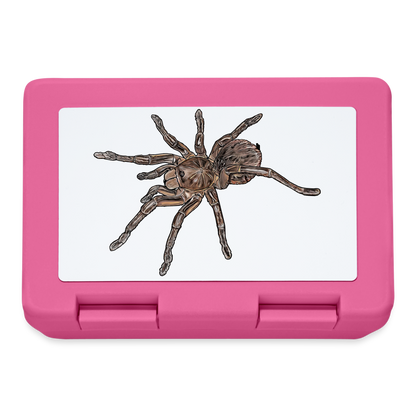 Lunchbox Theraphosa stirmi juvenile - Pink