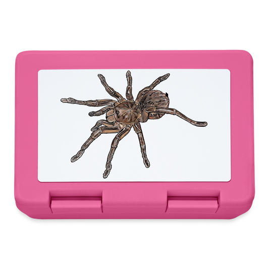 Lunchbox Theraphosa stirmi juvenile - Pink