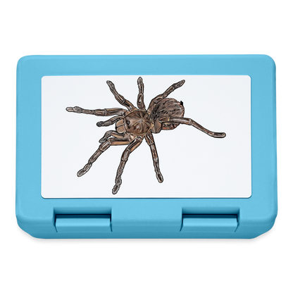 Lunchbox Theraphosa stirmi juvenile - Saphirblau