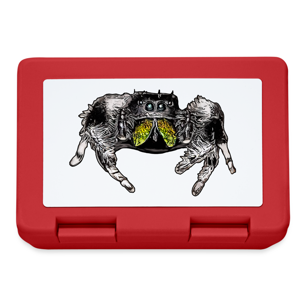Lunchbox Phidippus regius Rastafari male - Rot