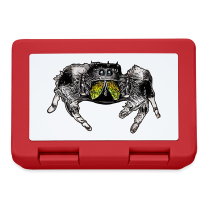 Lunchbox Phidippus regius Rastafari male - Rot