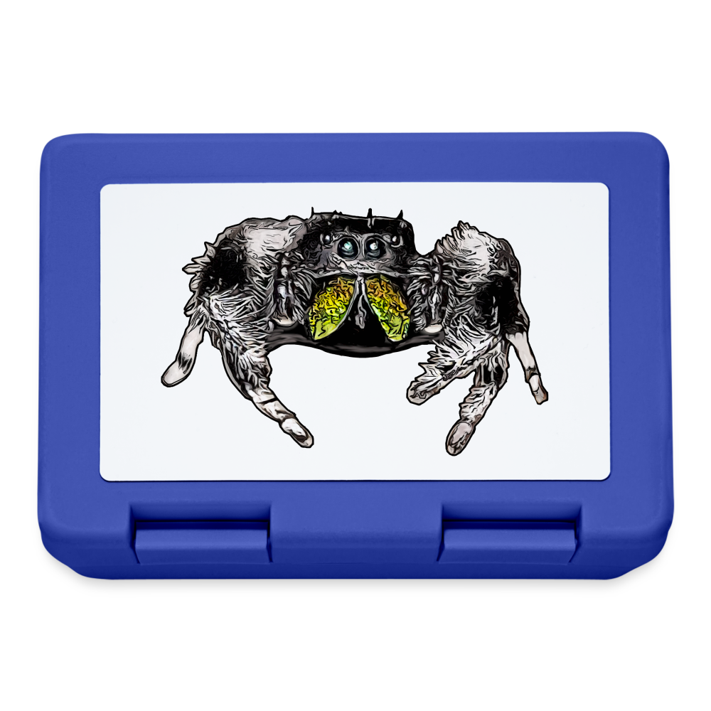 Lunchbox Phidippus regius Rastafari male - Royalblau