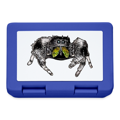 Lunchbox Phidippus regius Rastafari male - Royalblau