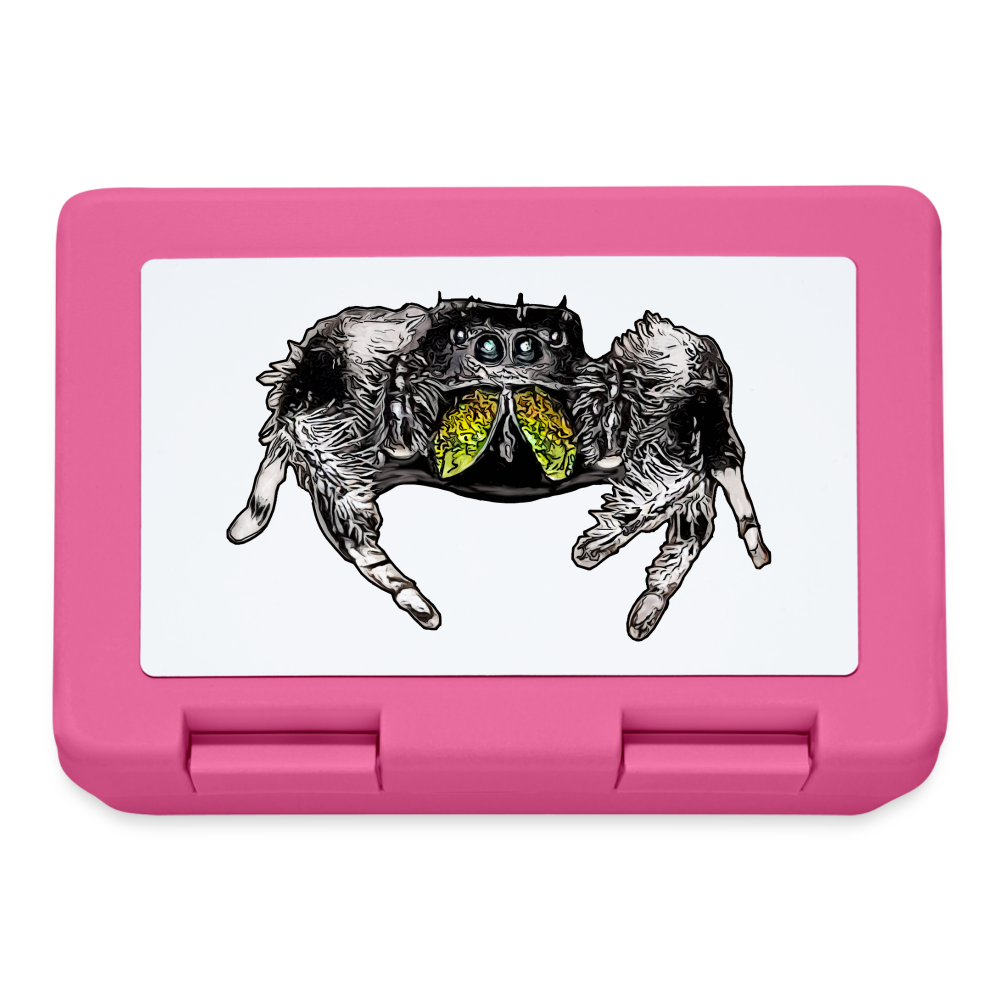 Lunchbox Phidippus regius Rastafari male - Pink