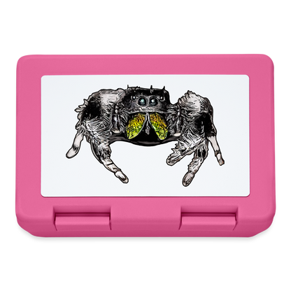 Lunchbox Phidippus regius Rastafari male - Pink