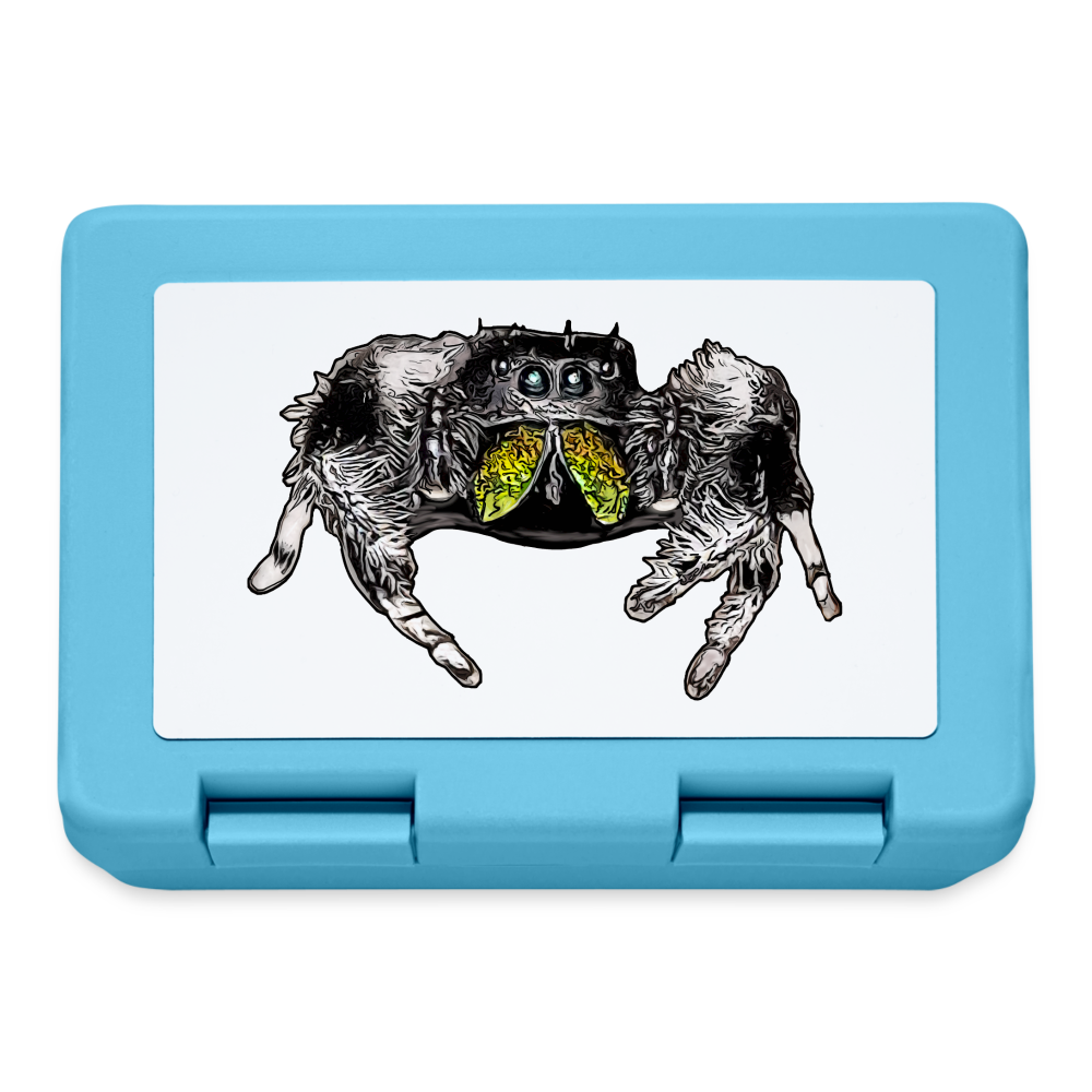 Lunchbox Phidippus regius Rastafari male - Saphirblau