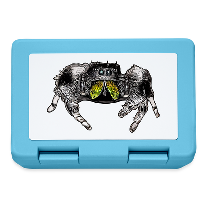 Lunchbox Phidippus regius Rastafari male - Saphirblau