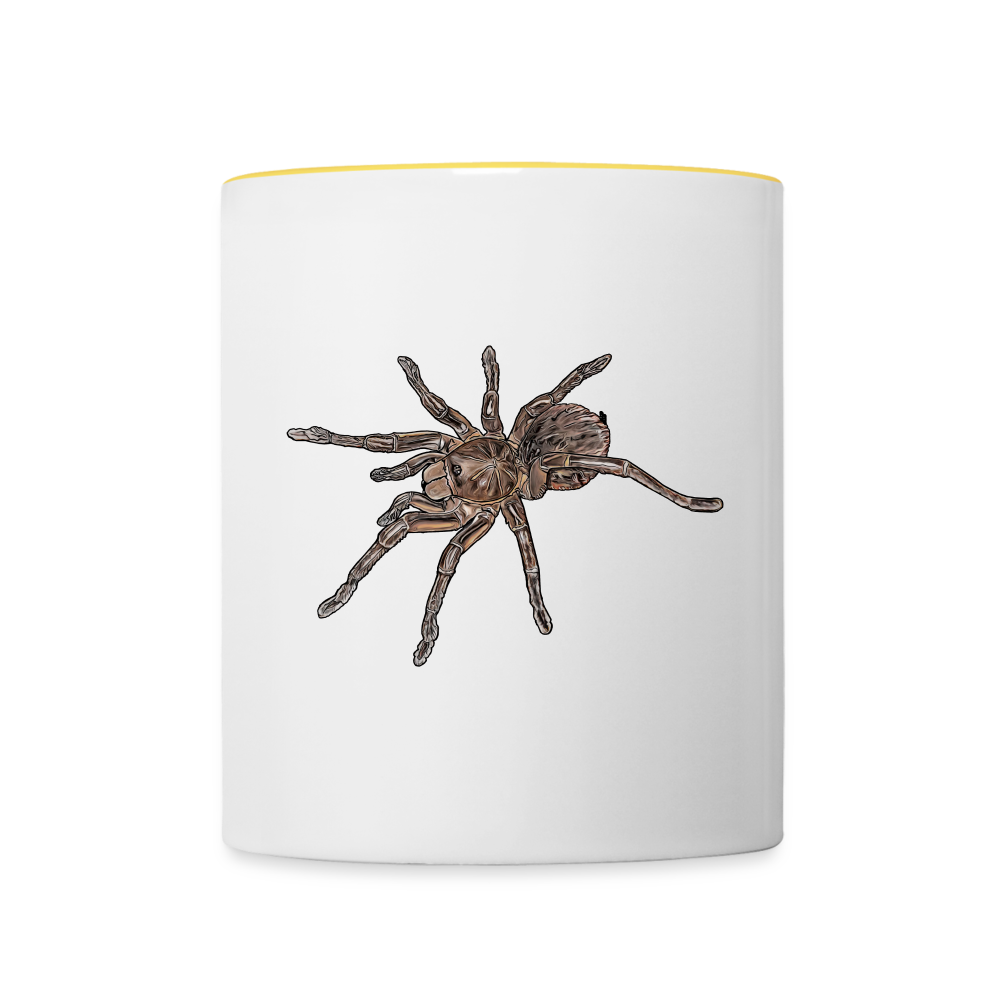 Tasse farbig Theraphosa stirmi juvenile - Weiß/Gelb