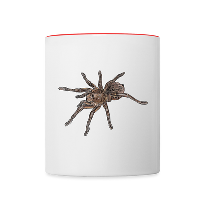 Tasse farbig Theraphosa stirmi juvenile - Weiß/Rot